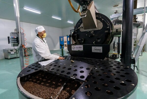 Xinhua Silk Road: China's Pu'er sees booming coffee bean exports in 2022 amid efforts on industrial chain building