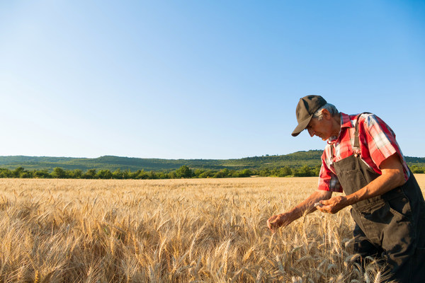 World's leading food & farming businesses launch action plan to scale regenerative farming, warning speed of progress 'must triple' to tackle the impacts of climate change