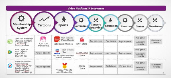 Number of Paid Memberships on Leading Chinese Online Video Platform to Reach 100 Million in 2019, Technology and Innovative Content to be Key Drivers of Platform Development