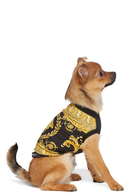 Global fashion platform, SSENSE, expands its offering with the launch of dogwear