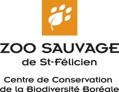 Zoo sauvage de Saint-Félicien, located in Canada, announces a rare event, the birth of a polar bear cub