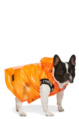 Global fashion platform, SSENSE, expands its offering with the launch of dogwear