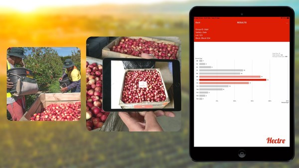 Take a Look Under The Hood of Award Winning Fruit Tech Startup Hectre