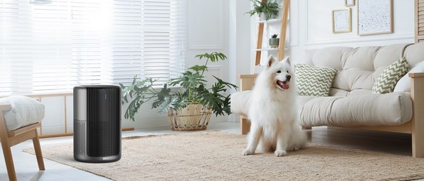 Dreo's New Air Purifier Banishes Pet Hair & Dander Quickly and Efficiently