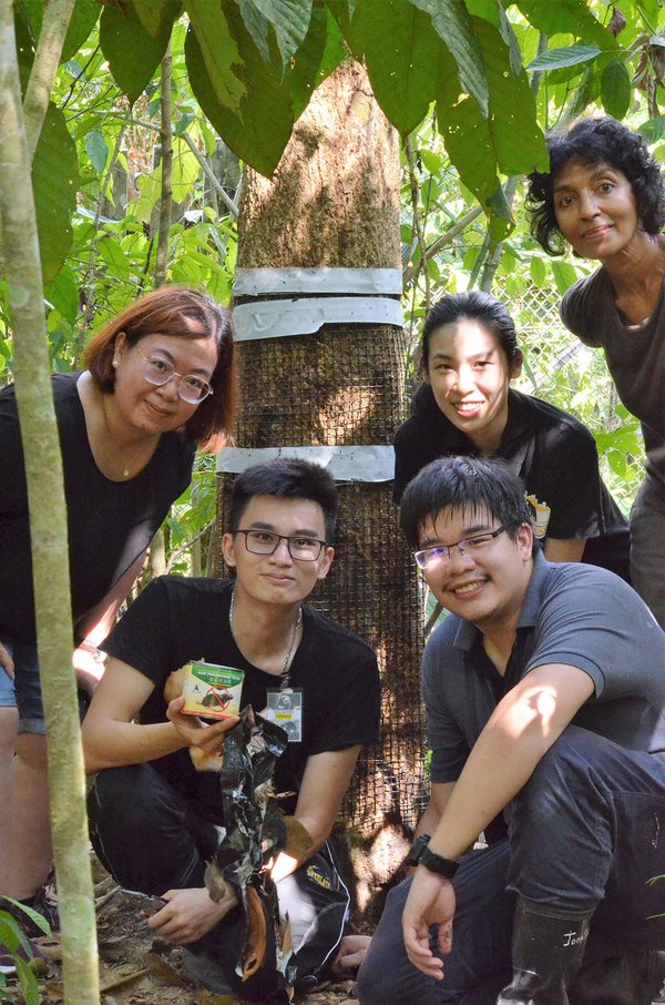 Ecological Research on Sun Bears Conducted by Sunway University