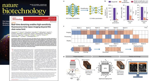 New Progress in Scientific Research by Tsinghua Shenzhen International Graduate School (SIGS)