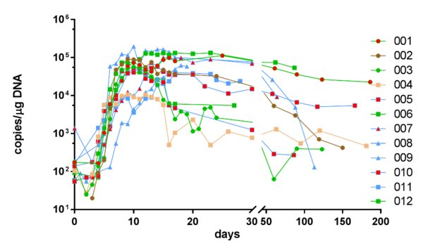 Results of Fully-human BCMA CAR-T for the Treatment of Relapsed/Refractory Multiple Myeloma Co-developed by Innovent and IASO BIO Presented at 2019 ASCO and EHA Annual Meetings