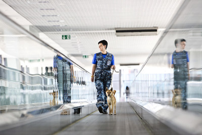 Aeroflot Registers Own Breed of Sniffer Dogs