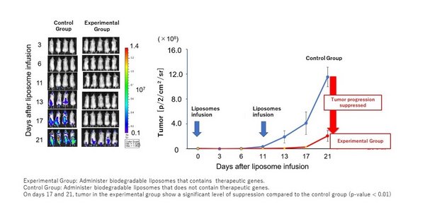 Shinshu University and Toshiba Develop Tumor-Tropic Liposome Technology that Carries Therapeutic Genes into Cancer Cells