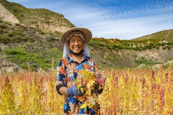 Sinopec's Fixed-point Poverty Alleviation and Pairing Program Lifts Eight Counties Out of Poverty in Response to UN Sustainable Development Goals