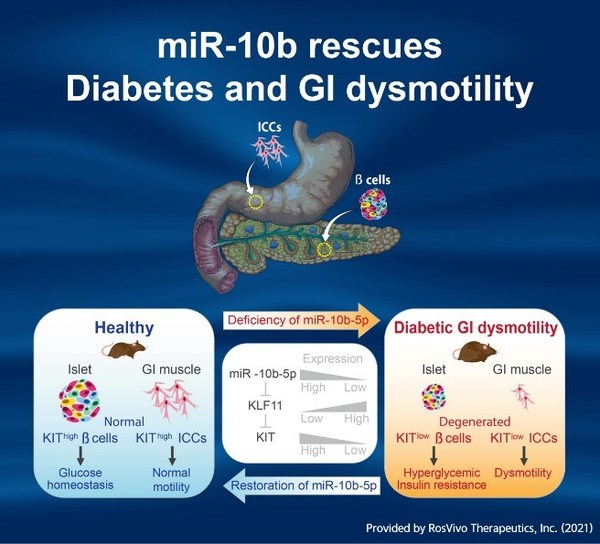 The world's first-in-class miRNA therapeutics to cure diabetes by pancreatic beta cell regeneration