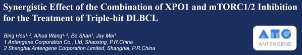 Antengene to Present Preclinical Data Demonstrating the Synergistic Effect of the Combination of XPO1 and mTORC1/2 Inhibition for the Treatment of Triple-Hit DLBCL at AACR Annual Meeting 2021