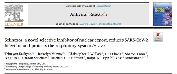 Antengene and Its Partners Publish Preclinical Data Demonstrating the Encouraging Activity of Selinexor in the Prevention and Treatment of SARS-CoV-2 Infections