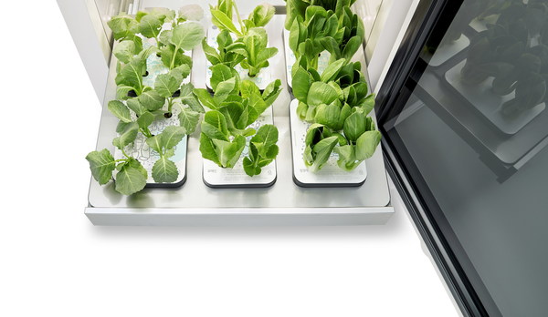 LG'S INDOOR GARDENING APPLIANCE PRESENTS MODERN CONCEPT FOR GREENER, HEALTHIER HOMELIFE