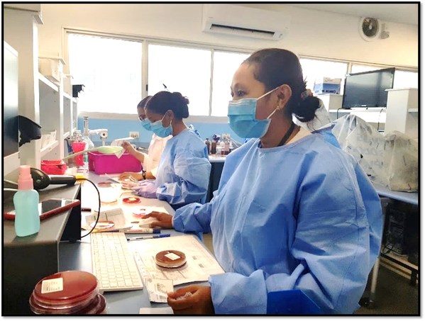 CGM lab software modernizes healthcare in Timor-Leste