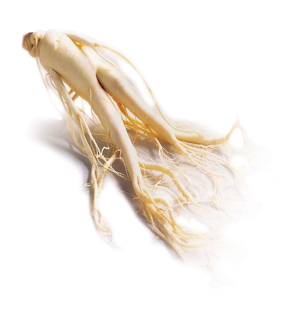 Korea's Representative Health Food, The Origin of K-Food <Red Ginseng>