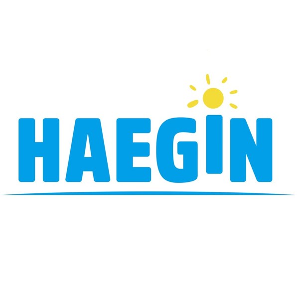 Haegin "Play Together", updates Arabic to the language options