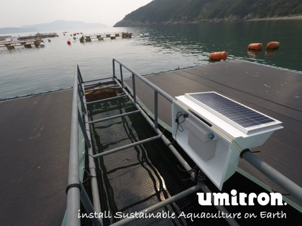 Umitron Expands Early Stage Funding to S$15.2mil and Starts Data Service for Aquaculture Insurance Leveraging IoT and Satellite Remote Sensing