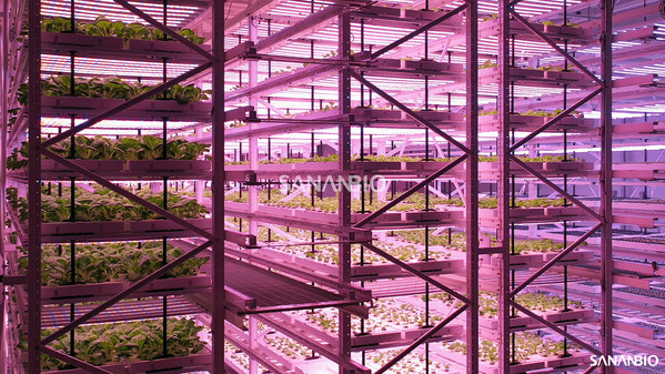 SANANBIO Announces the Availability of its Unmanned Vertical Farming System UPLIFT to Global Growers