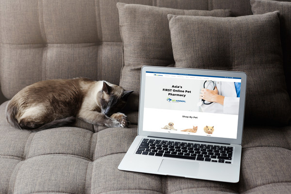 Asia's First Online Pet Pharmacy Goes Live - Female Tech Founders Launch My Animal Dispensary