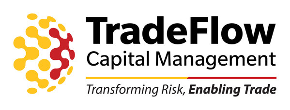 Avoiding credit-risk related collapses: TradeFlow reduces risk in SME trade finance using innovative FinTech, non-lending, non-credit system