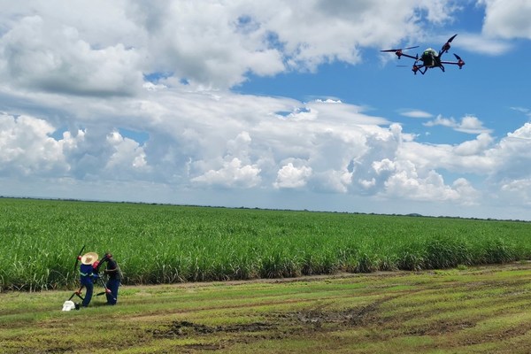 XAG Suggests Drones Could Outsmart Locust Swarms at Night