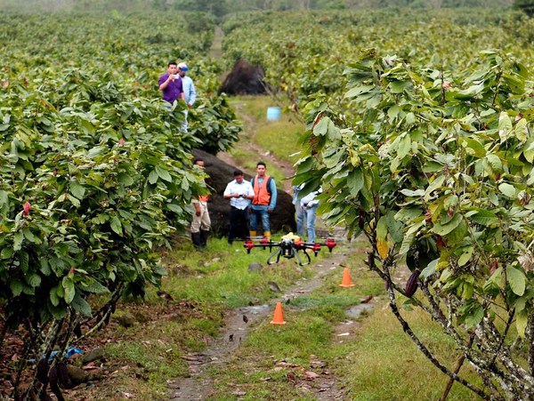 XAG Drone Supports Cacao Farm to Fight Diseases during Rainy Spells