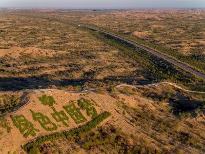 Chinese "son of the desert" dedicated to desert greening