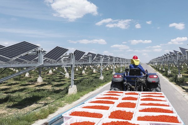 Smart PV: Breathing Life into a Desert Landscape