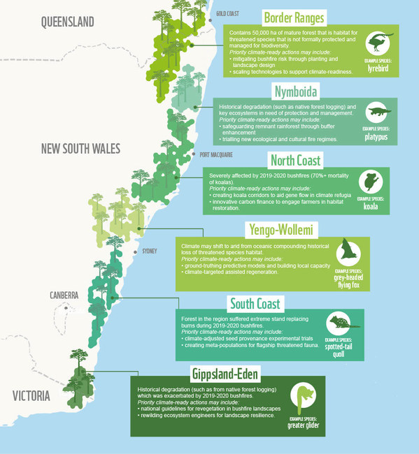 Greening Australia and WWF-Australia announce new Climate-ready Restoration partnership[1] in response to increasing natural disasters