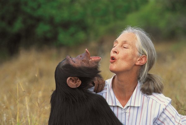 Pioneer Conservationist Jane Goodall Awarded 2020 Tang Prize in Sustainable Development