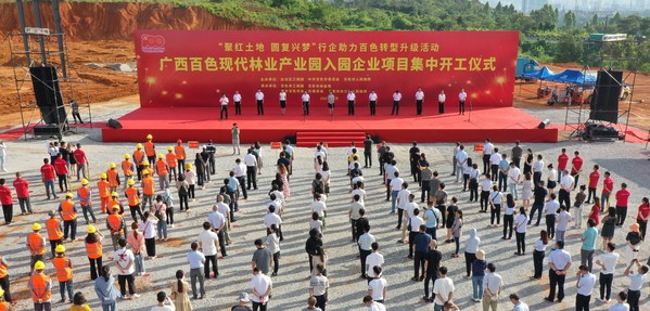 Xinhua Silk Road: Forestry industry flourishes in Guangxi's Baise with annual output over RMB 15 bln