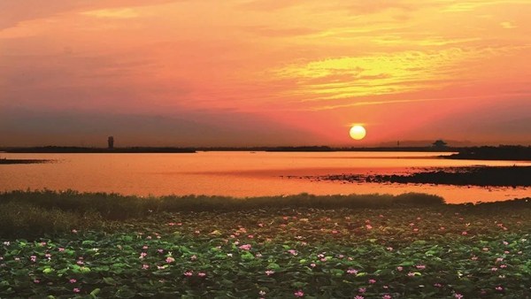 Jining becomes international wetland city