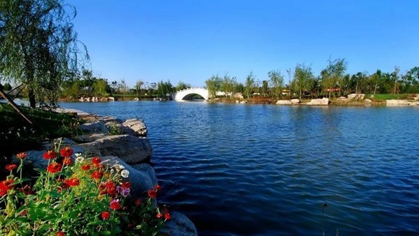 Jining becomes international wetland city