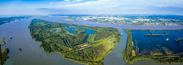 Rare birds swooping in to rest at green sanctuary