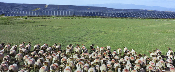 Smart PV: The Sun Always Shines on Qinghai's People and Economy