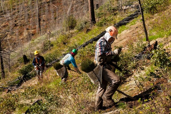 Jackery Announces 'Go Green with Jackery' Event to Mark World Earth Day 2023 and Encourage Environmental Protection