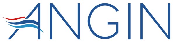 Orchestrating impact: the promise of Angel Investment Networks to support impact enterprises in Southeast Asia