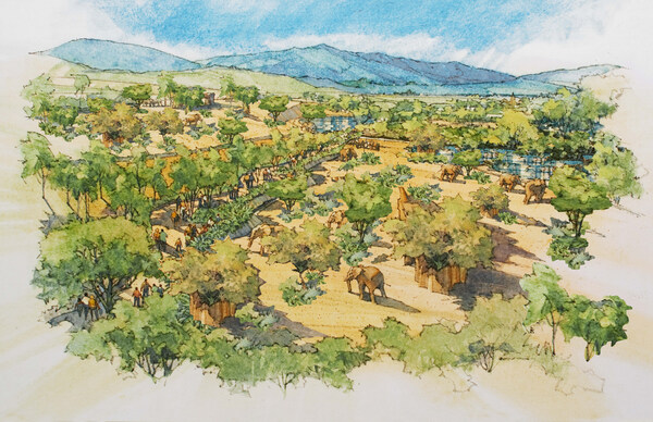 San Diego Zoo Safari Park Announces Elephant Valley, Largest Transformative Project in 50-year History