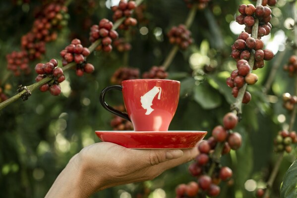 JULIUS MEINL PARTNERS WITH SAWA WORLD TO HELP ENRICH LIVELIHOODS OF COFFEE FARMERS