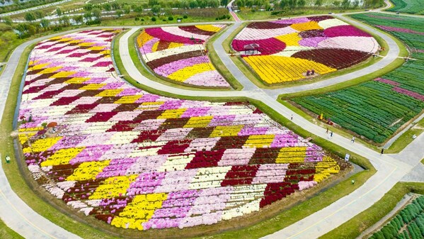 The 7th Jiangsu Chrysanthemum Culture and Art Festival held in Sheyang, China